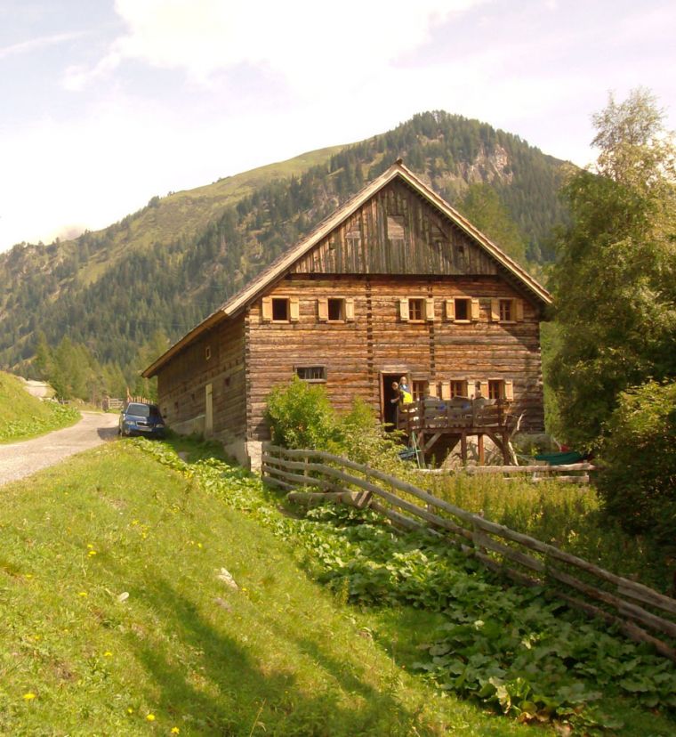 Die Alm im schönen Zederhaus